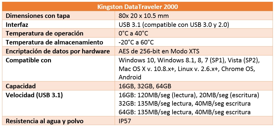 Kingston DataTraveler 2000 características