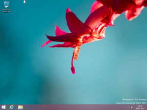 Windows8.1