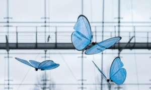 Drones mariposas