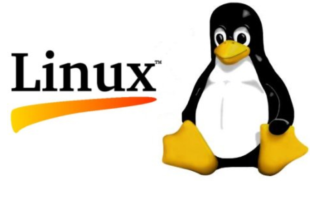 como-actualizar-en-vivo-el-kernel-de-ubuntu
