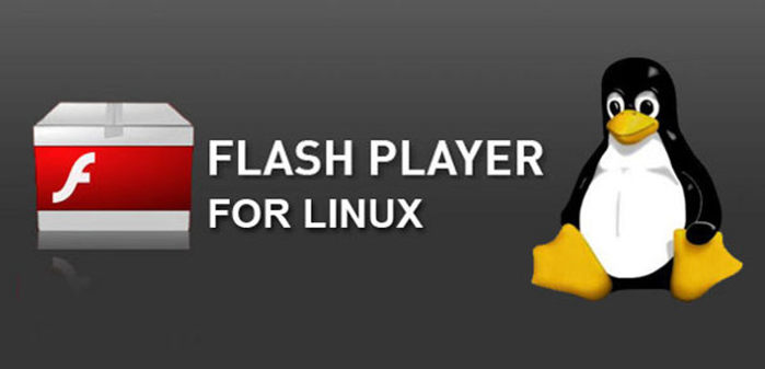 Ubuntu Flash