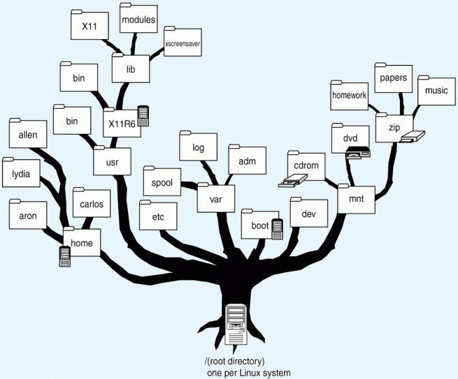 estructura sistema de archivos en linux