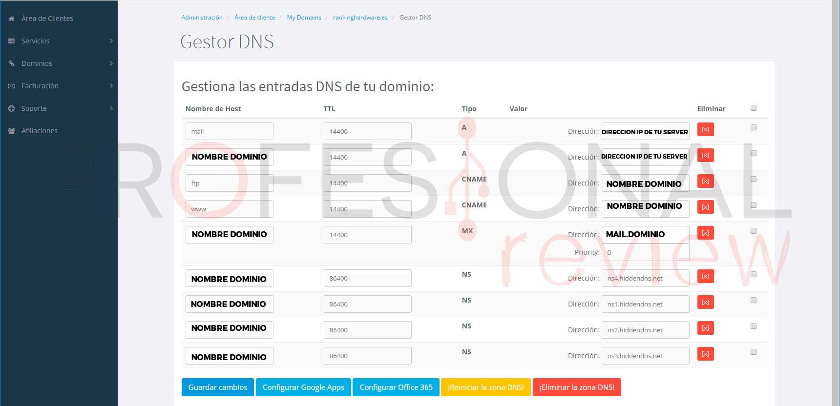 Gestión DNS panel