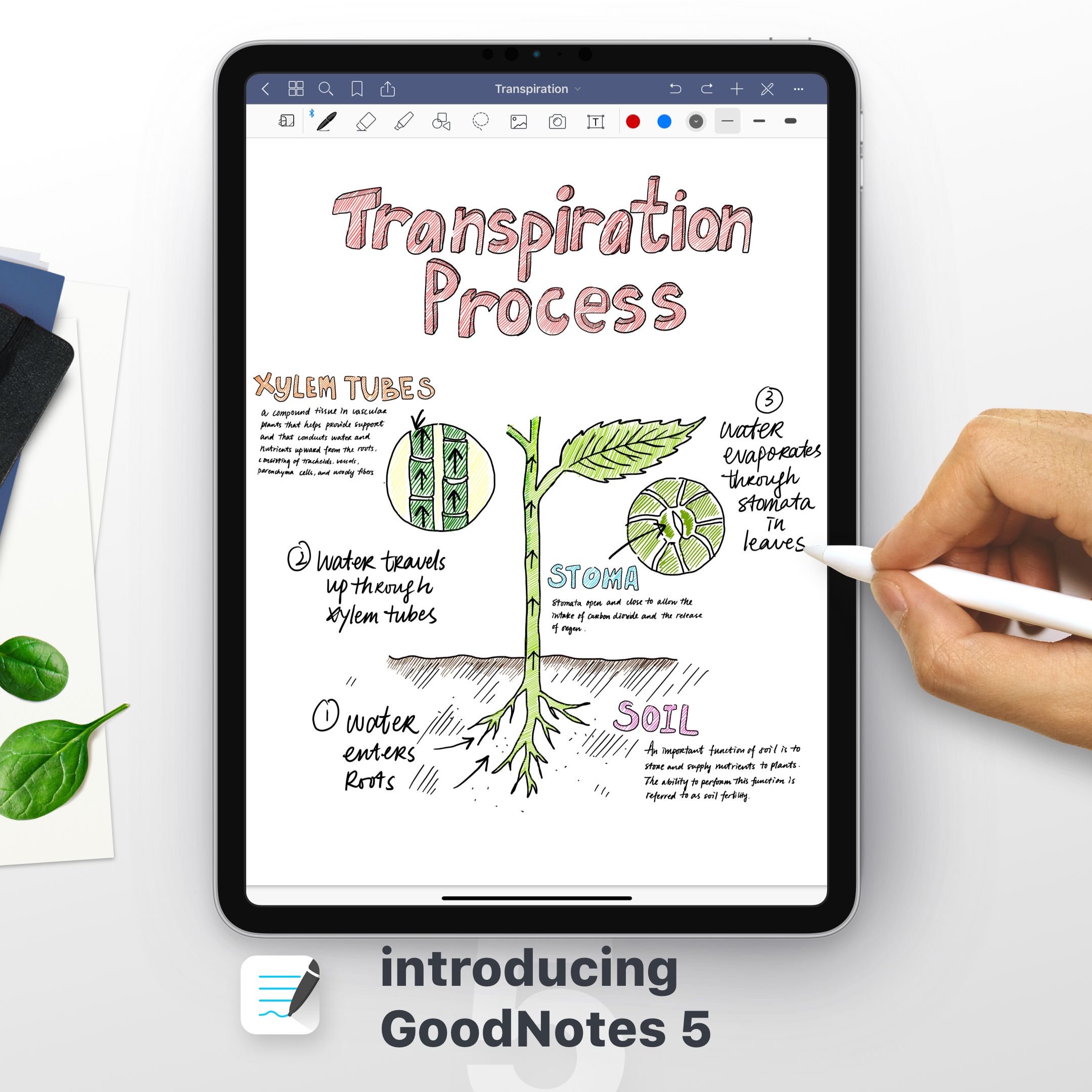 GoodNotes se reinventa como el mejor cuaderno digital para el iPad