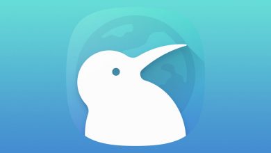 Navegador Kiwi