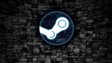 steam encuesta