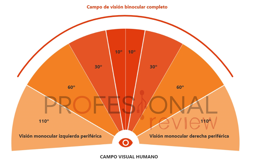 Cómo Elegir un Monitor Curvo o Plano