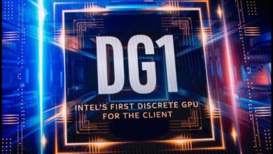 DG1