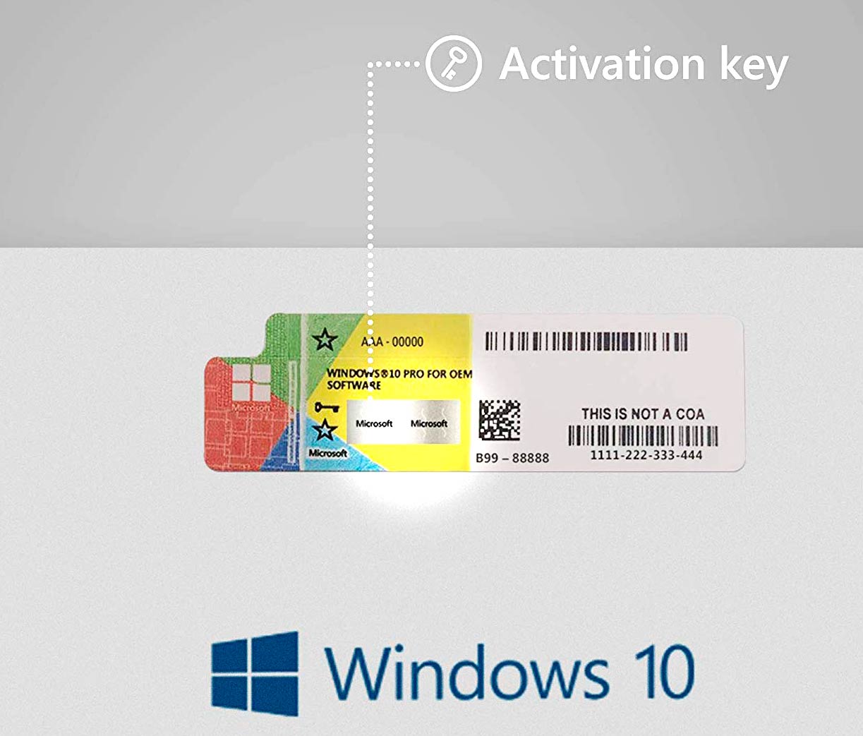 espina arbusto tomar ▷ Licencia Windows 10 Pro: tipos, diferencias 🥇 y dónde comprarla