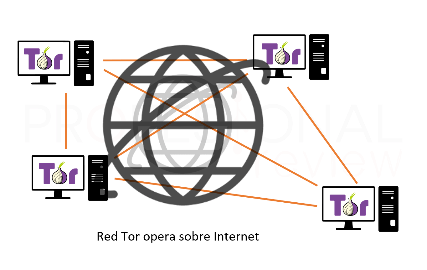 browser proxy tor hydra2web
