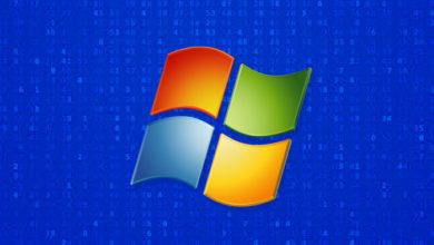 vulnerabilidad en windows