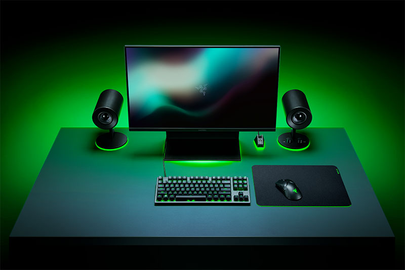 https://www.profesionalreview.com/wp-content/uploads/2020/05/Razer-Gigantus-V2-01.jpg