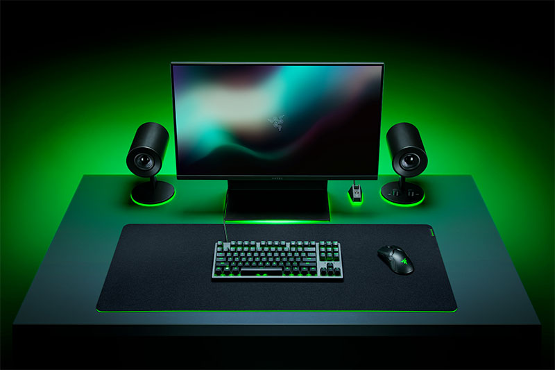 https://www.profesionalreview.com/wp-content/uploads/2020/05/Razer-Gigantus-V2-03.jpg