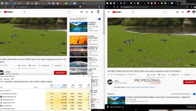 prueba consumo brave