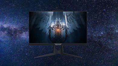 GIGABYTE AORUS FI25F