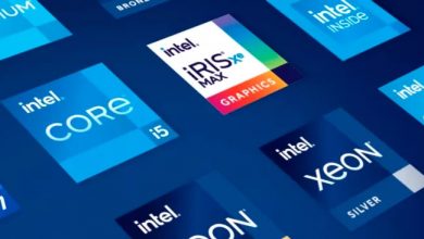 Iris Xe