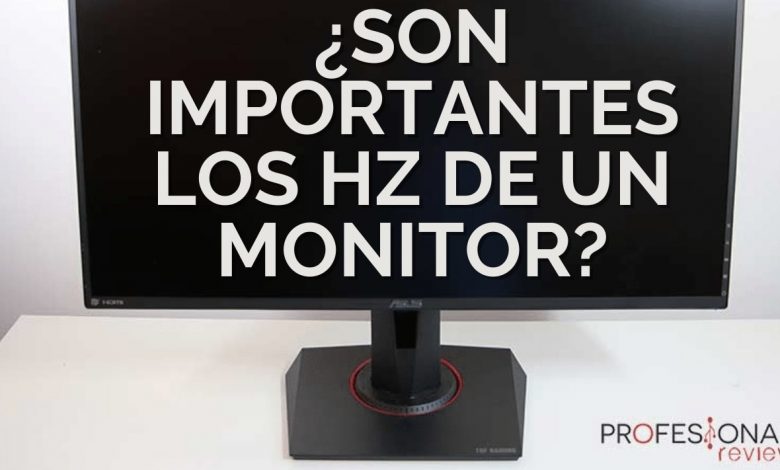 Son importantes los Hz de un monitor
