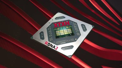 amd xtxh nashira point xle