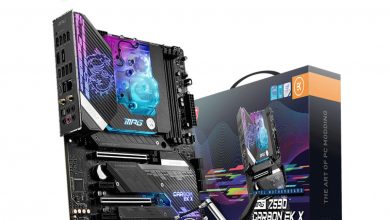 Z590 Carbon EK X