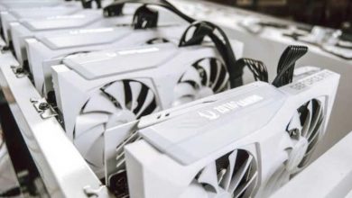 zotac minería