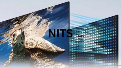 nits