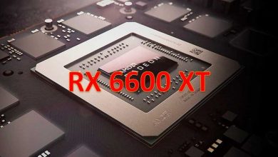 tarjeta grafica rx 6600 xt
