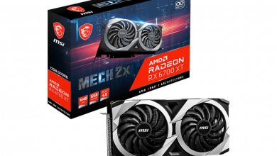 RX 6700 XT