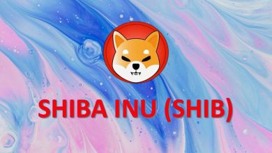 shiba inu shib