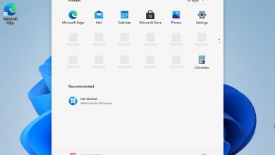 Windows 11