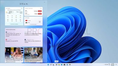 Windows 11