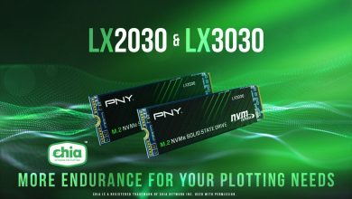 ssd pny mineria chia