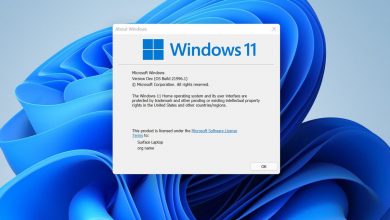 Windows 11