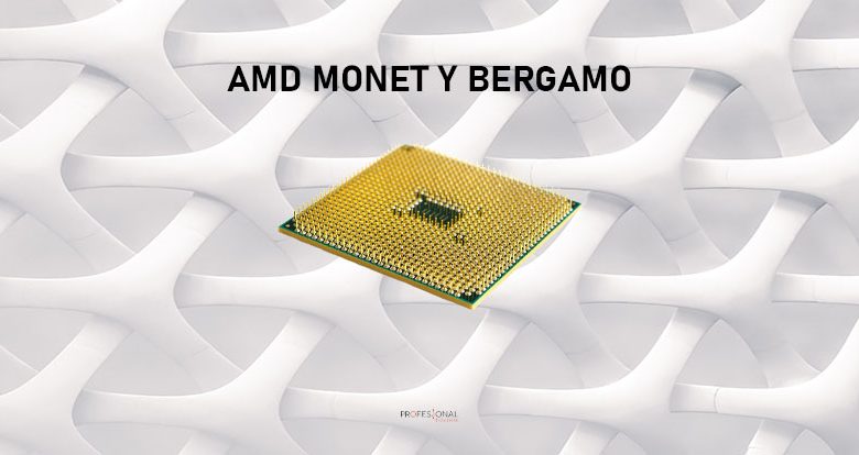 amd monet