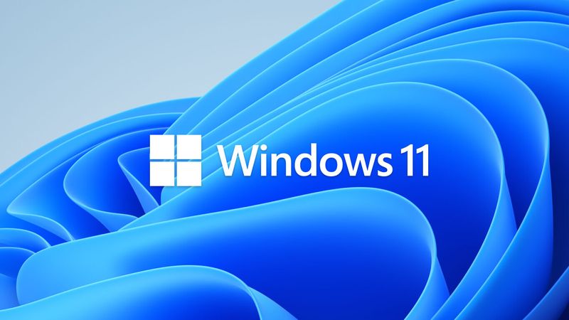 Algunos ordenadores con Windows 11 pueden usar fondos animados