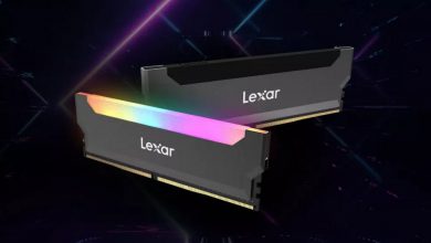Lexar
