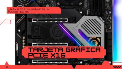 gráfica placa base interfaz pci express x16