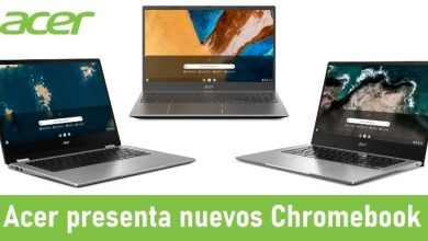Acer