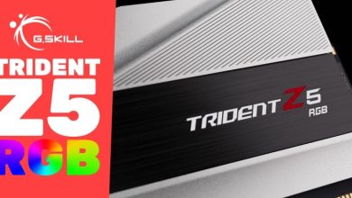 Trident Z5