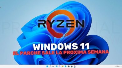 Windows 11