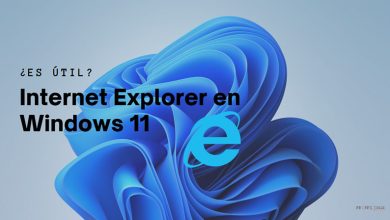 internet explorer para windows 11