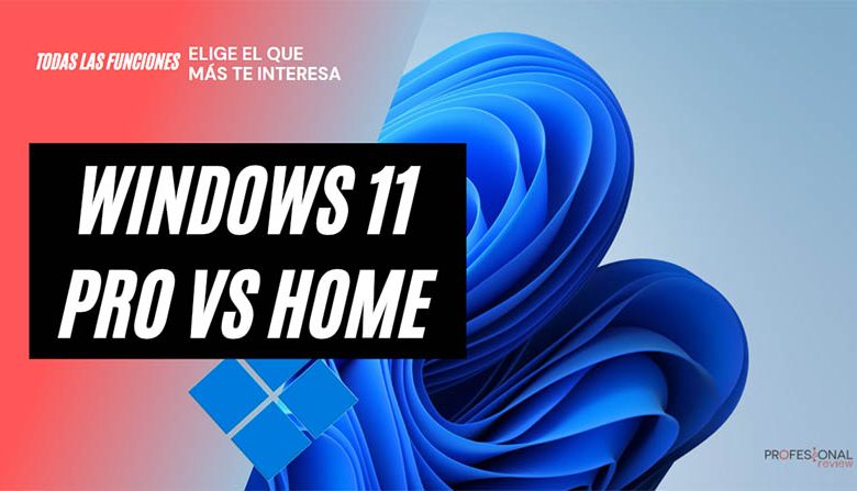 windows 11 home vs pro