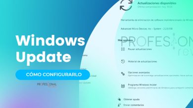 windows update windows 11