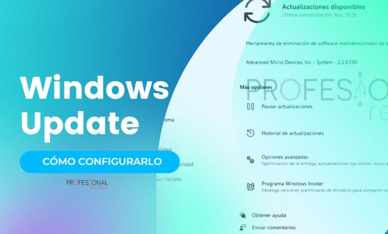 windows update windows 11