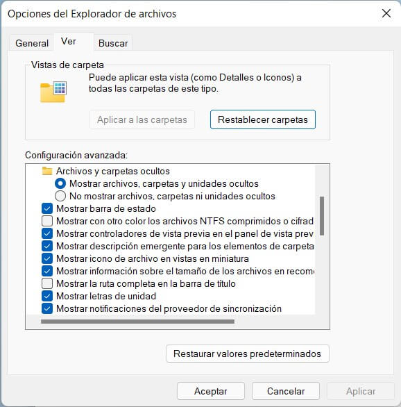 Cómo ver archivos ocultos en Windows 11