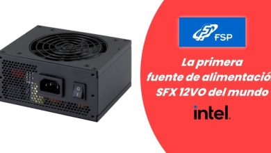 FSP