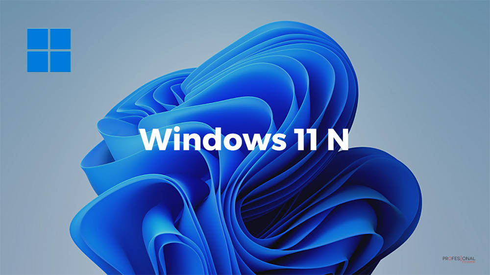windows 11 n