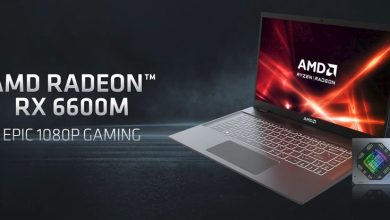 RX 6600M