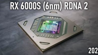 RX 6000S
