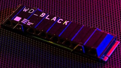 WD Black SN850X