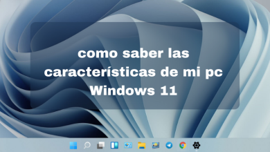 como saber las caracteristicas de mi pc Windows 11 - 00